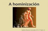 A hominización.