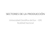 Sectores de la_produccion_trabajo_1
