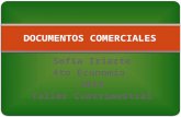 Documentos comerciales - Sofía Iriarte
