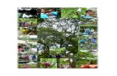 Paseo ecológico al jardín botánico de Medellín 2014