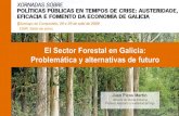 La falta de competitividad del Sector Forestal en Galicia