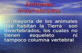 Animales Invertebrados 5