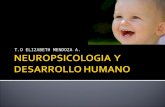 Neuropsicologia y desarrollo_humano