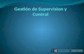 Gestion de supervision y control - pmi