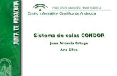 Sistema de colas Condor en CICA