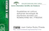 Guadalinex con colinux y Tecnología Nomachine NX