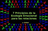 7 Principios de la Ecología Emocional