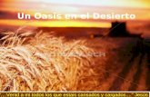 Un oasis en_el_desierto
