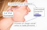 Características acusticas del sonido vocal