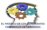 El modelo de los cuadrantes cerebrales de herrmann