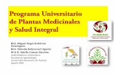 PROGRAMA UNIVERSITARIO DE PLANTAS MEDICINALES Y SALUD INTEGRAL