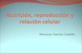 Nutrición, relación y reproducción celular.