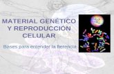 Material genético y reproducción celular