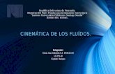 cinematica de los fluidos: Ecuacion de cantidad de movimiento, continuidad y Bernoulli