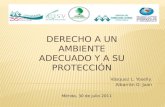Presentación final de Práctica Comunitaria - "Derecho a un ambiente adecuado y a su protección"