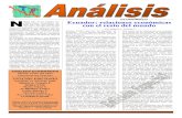 Revista analisis
