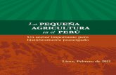 La Pequeña Agricultura en el Perú _ Febrero 2011