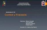 Seminario 15. Controles y Fracasos.