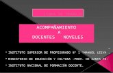 Presentacion Proyecto Docentes Noveles