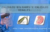 Calculos biliares y calculos renales