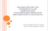 Presentación valoración de una experiencia de orientación universitaria mediante metodología cualitativa