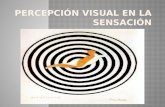 Exposicion Sobre la percepcion Visual