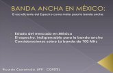 Ricardo Castañeda, Banda Ancha en México: El uso eficiente del Espectro como motor para la banda ancha