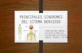 Principales sindromes del sitema nervioso