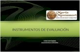 Instrumentos de evaluación (2)