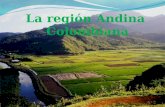 Region andina economia