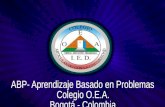 ABP Colegio OEA 2013