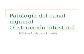 PatologíA Del Canal Inguinal Y O.Intestinal