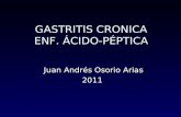 Gastritis cronica