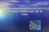 La base molecular_de_la_vida_1