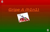 Gripe A (H1n1)