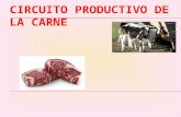 Circuito productivo de la carne