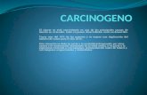 Carcinogeno nueva diapositiva