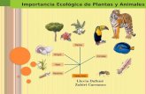 Importancia Ecologica de los animales y Reproduccion vegetal y animal