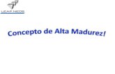 Concepto de Alta Madurez para PYMES de Software