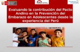Evaluando el Plan Andino de Prevención del Embarazo en la Adolescencia. Dra. Carmen Calle, Ministerio de Salud/Perú.