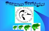 El Ciclo De Las Cosas.  Reserva EcolóGica