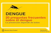 Preguntas frecuentes sobre el dengue