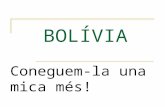 Bolivia2 (Pp Tminimizer)