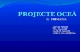 Projecte oceà. pol, maria, gàlvez, marin