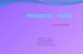 Projecte oceà. lucia, adrià, júlia, anna b