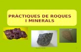 Minerals i Roques I.B.LL