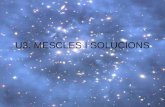 U3mescles I Solucions