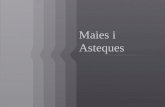 Maies i asteques