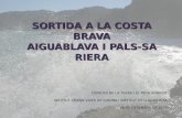 Geologia a Begur- Aiguablava-Pals- Sa Riera pp2007