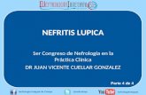Nefritis Lupica - Conferencia del Dr. Juan Vicente Cuéllar Gonzalez (parte 4 de 4)